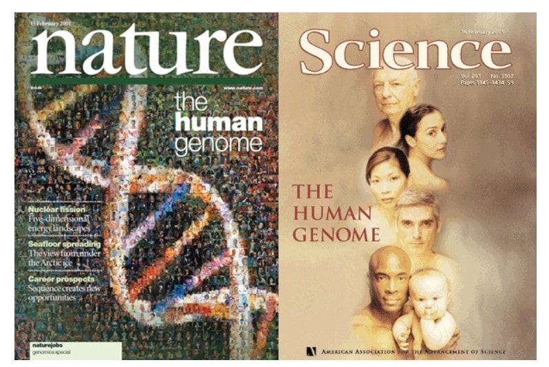 Genoma Humano 20 Años Después De Su Publicación Blog Palex